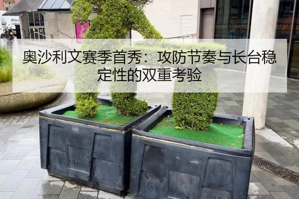 ao-sha-li-wen-sai-ji-shou-xiu-gong-fang-jie-zou-yu-zhang-tai-wen-ding-xing-de-shuang-chong-kao-yan-3-376.jpg