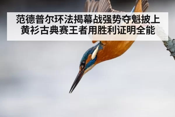 范德普尔环法揭幕战强势夺魁披上黄衫古典赛王者用胜利证明全能（MKSports）