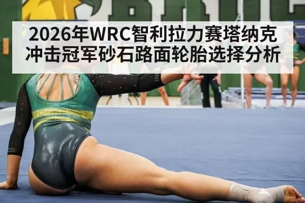 2026年WRC智利拉力赛塔纳克冲击冠军砂石路面轮胎选择分析